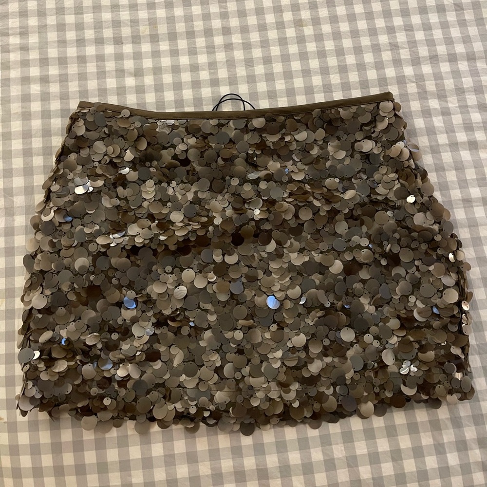 Zara Sequin Skirt Sz L